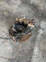 Oto Çıkma Parça / Peugeot / Boxer / Alt Takım / Taşıyıcı / Çıkma Parça 