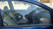 Oto Çıkma Parça / Chery / Kimo / Oto Cam / Kapı Camları / Çıkma Parça 