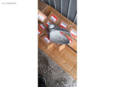 Oto Çıkma Parça / Honda / Civic / Ayna / Ayna Kapağı / Çıkma Parça 