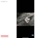 Oto Çıkma Parça / Volkswagen / Passat / Direksiyon / Direksiyon Kutusu / Çıkma Parça 