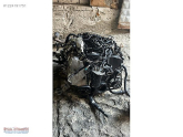 Oto Çıkma Parça / Audi / A3 / Motor / Motor (komple) / Çıkma Parça 