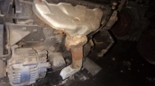 Oto Çıkma Parça / Citroen / Saxo / Egzoz / Egzoz Manifoldu / Çıkma Parça 