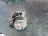 Oto Çıkma Parça / Renault / R 25 / Motor / Vakum Pompası / Çıkma Parça 