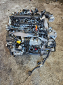 Oto Çıkma Parça / Seat / Leon / Motor / Motor (komple) / Çıkma Parça 