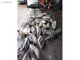 Oto Çıkma Parça / Peugeot / 301 / Far & Stop / Sağ Ön Far / Çıkma Parça 