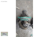 Oto Çıkma Parça / Isuzu / NLR / Defransiyel / Ön Defransiyel / Çıkma Parça 