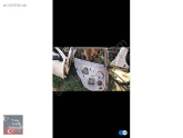 Oto Çıkma Parça / Renault / Megane / Kaporta & Karoser / Sol Arka Kapı / Çıkma Parça 