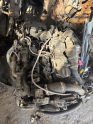 Ford Courier komple motor