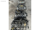 Oto Çıkma Parça / Fiat / Linea / Motor / Motor (komple) / Çıkma Parça 