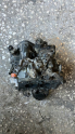 Oto Çıkma Parça / Renault / R 21 / Motor / Karbüratör / Çıkma Parça 