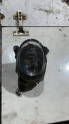 8E0941699E 2008-2012 audi a3 sol ön sis farı