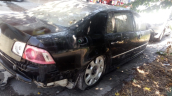 Oto Çıkma Parça / Volkswagen / Phaeton / Kaporta & Karoser / Kasa / Kupa / Çıkma Parça 