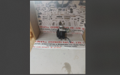 Oto Çıkma Parça / Toyota / Corolla / Motor / Distribütör / Sıfır Parça 