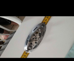 Oto Çıkma Parça / Ford / Puma / Arma & Yazı / Panjur Arması / Çıkma Parça 
