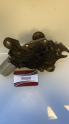 Oto Çıkma Parça / Volkswagen / Golf / Oto Cam / Silecek Motoru / Çıkma Parça 