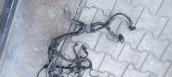 Oto Çıkma Parça / Honda / City / Motor / Motor Tesisatı / Çıkma Parça 
