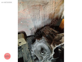 Oto Çıkma Parça / Mazda / 3 / Şanzıman / Şanzıman Komple / Çıkma Parça 