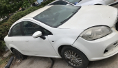 Oto Çıkma Parça / Fiat / Linea / Kaporta & Karoser / Sol Ön Kapı / Çıkma Parça 