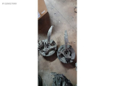 Oto Çıkma Parça / Honda / Accord / Alt Takım / Taşıyıcı / Çıkma Parça 