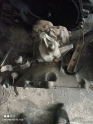 Oto Çıkma Parça / Opel / Corsa / Şanzıman / Şanzıman Komple / Çıkma Parça 