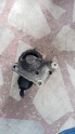 Oto Çıkma Parça / Peugeot / 407 / Elektrik / Marş Motoru / Çıkma Parça 