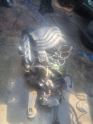 Oto Çıkma Parça / Opel / Astra / Motor / Motor (komple) / Çıkma Parça 