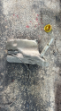 Oto Çıkma Parça / Renault / Fluence / Oto Cam / Silecek Suyu Deposu / Çıkma Parça 