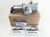 28410-4A100 EGR VALFİ STAREX 05>