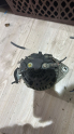 Oto Çıkma Parça / Opel / Zafira / Elektrik / Şarj Dinamosu / Çıkma Parça 