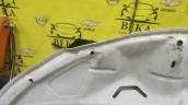 Oto Çıkma Parça / Opel / Crossland X / Kaporta & Karoser / Kaput / Çıkma Parça 