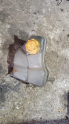 Ford Fiesta motor su haznesi