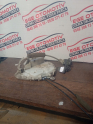 Oto Çıkma Parça / Honda / Civic / Kaporta & Karoser / Kapı Kilidi / Çıkma Parça 
