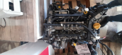 Oto Çıkma Parça / Fiat / Egea / Motor / Motor (komple) / Çıkma Parça 