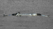 Oto Çıkma Parça / Volkswagen / Amarok / Direksiyon / Direksiyon Kutusu / Çıkma Parça 