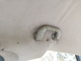 Oto Çıkma Parça / Volkswagen / Polo / Koltuk & Döşeme / Kapı Kolçağı / Çıkma Parça 