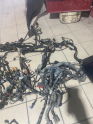 Oto Çıkma Parça / Ford / Focus / Elektrik / Elektrik Tesisatı / Çıkma Parça 