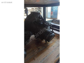 Oto Çıkma Parça / Ford / Escort / Şanzıman / Şanzıman Takozu / Çıkma Parça 