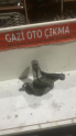 VOLKSWAGEN GRUBU AUDİ PASSAT SKODA GOLF MOTOR KULAĞI VE TAKOZU