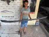 Oto Çıkma Parça / Ford / Focus / Tampon / Tampon Çıtası / Çıkma Parça 