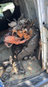 Oto Çıkma Parça / Renault / R 19 / Motor / Motor (komple) / Çıkma Parça 