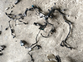 FİAT SCUDO 1.5 MOTOR TESİSATI OTO FEDAİ
