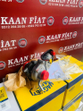 Oto Çıkma Parça / Fiat / Egea / Motor / Turbo / Sıfır Parça 