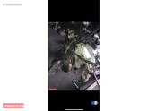 Oto Çıkma Parça / Volkswagen / Passat / Motor / Komple Motor / Çıkma Parça 