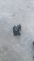FİAT EGEA 1.3 GAZ KELEBEGİ