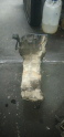 Oto Çıkma Parça / Renault / R 12 / Şanzıman / Şanzıman Komple / Çıkma Parça 