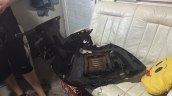 Oto Çıkma Parça / Renault / Megane / Göğüslük & Torpido / Torpido Kapağı / Çıkma Parça 