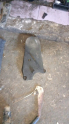 Daewoo espero Triger kapak