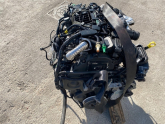 Oto Çıkma Parça / Ford / Focus / Motor / Motor (komple) / Çıkma Parça 
