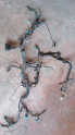 SUBARU İMPREZA MOTOR TESİSATI 1.5 BENZİNLİ
