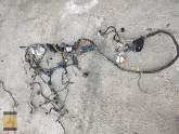 Oto Çıkma Parça / Ford / Focus / Elektrik / Elektrik Tesisatı / Çıkma Parça 